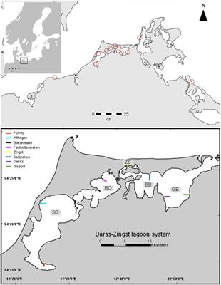 Phosphorus Contents Re-visited After 40 Years in Muddy and Sandy Sediments of a Temperate Lagoon System